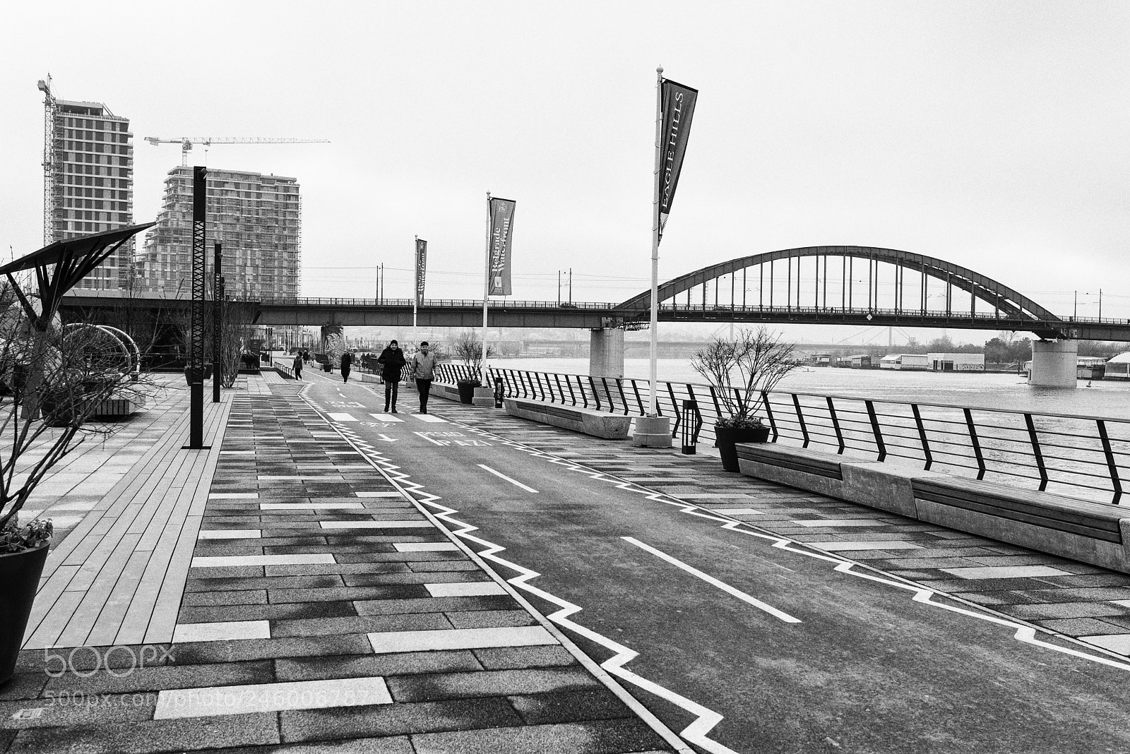 Nikon D610 sample photo. Bw photography