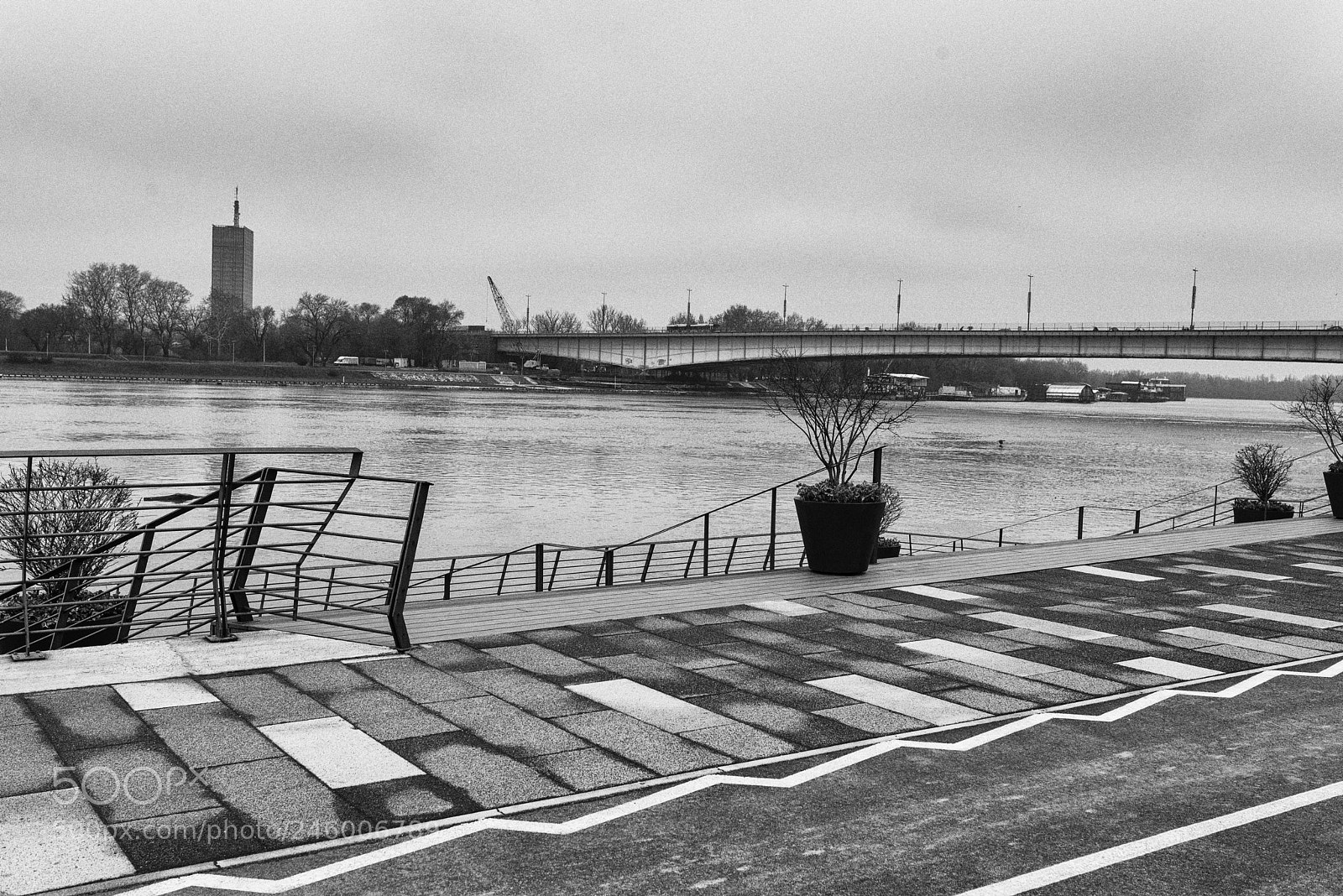 Nikon D610 sample photo. Bw photography