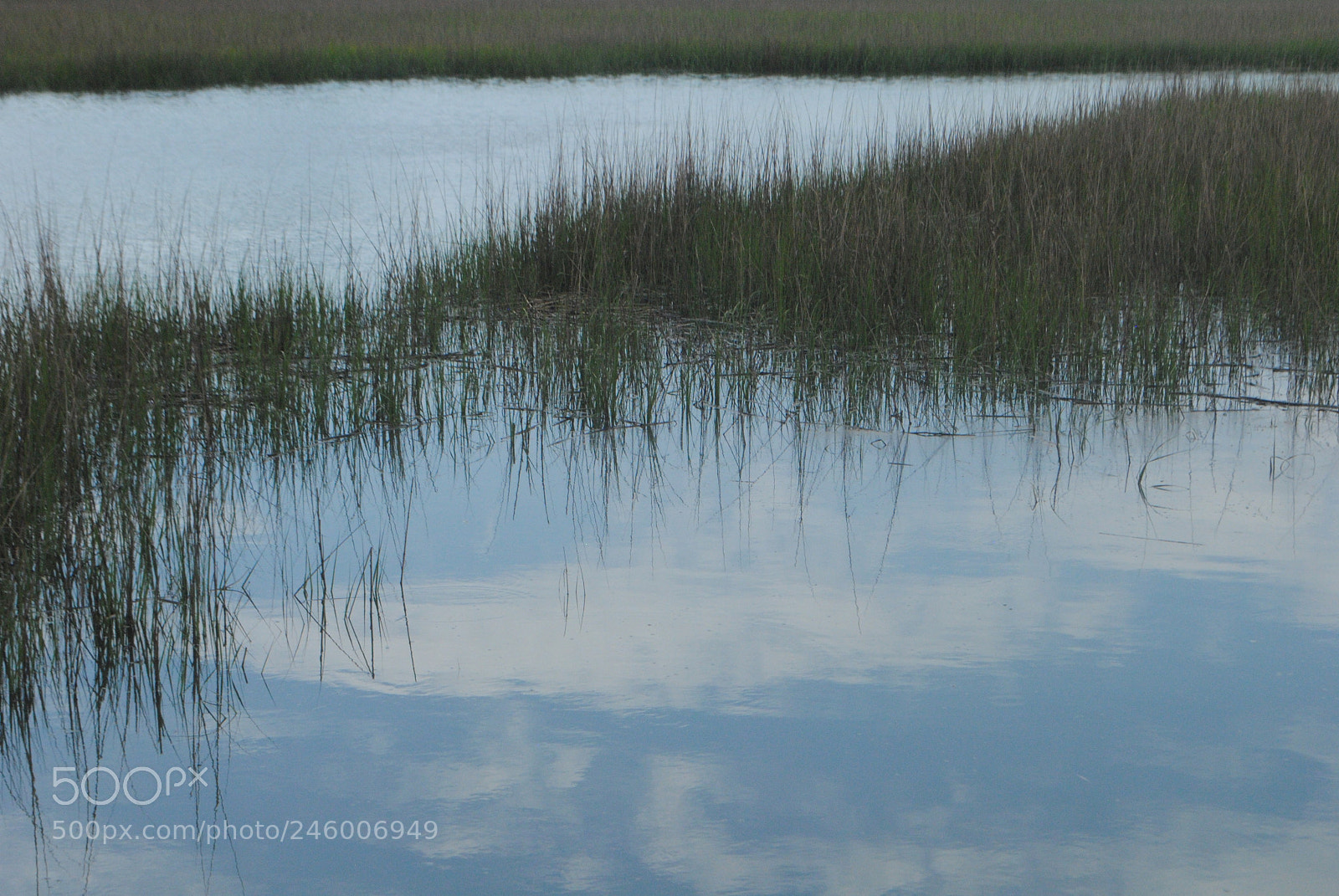 Nikon D3000 sample photo. Wadmalaw river photography