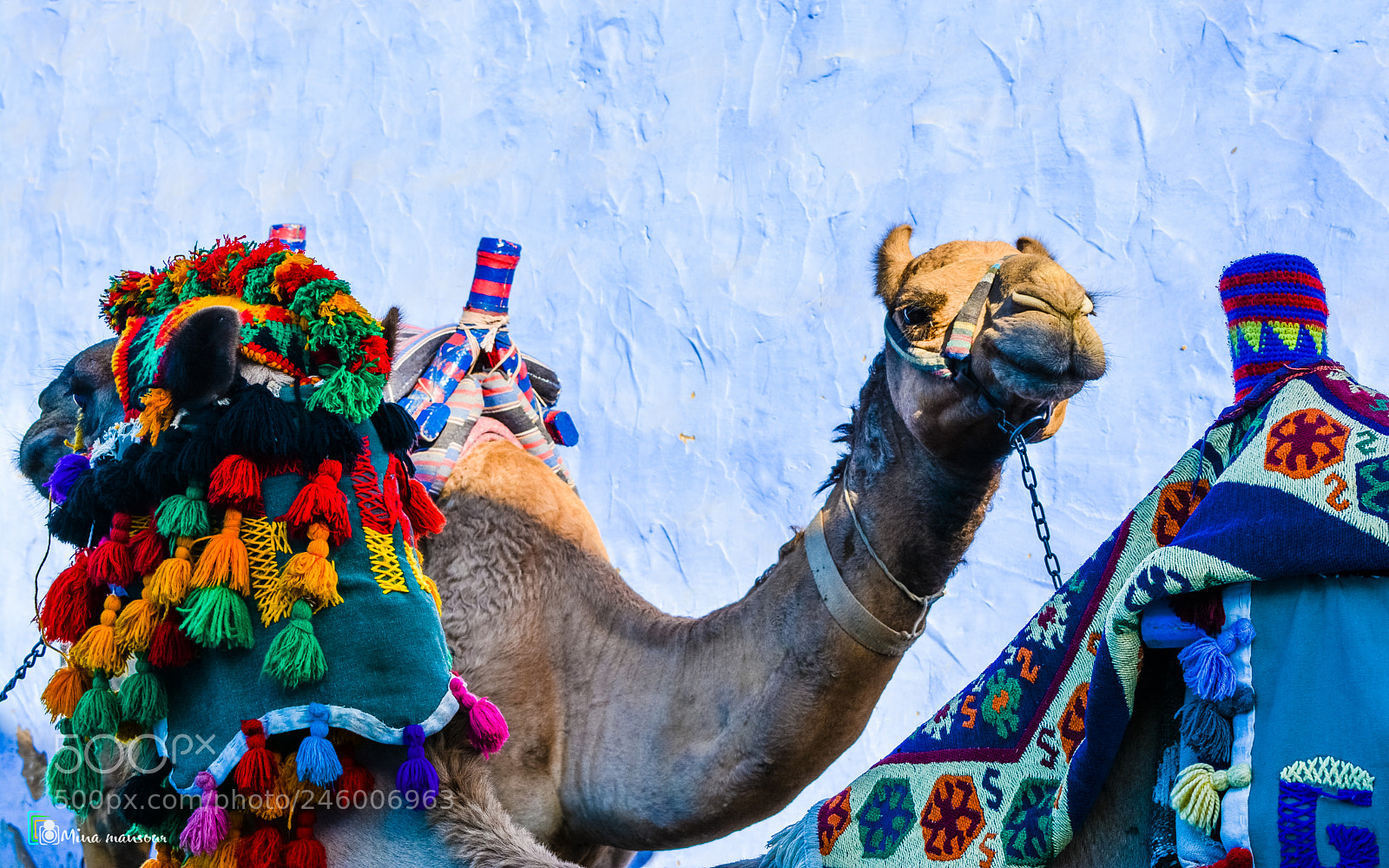 Nikon D5200 sample photo. Nubian village aswan photography