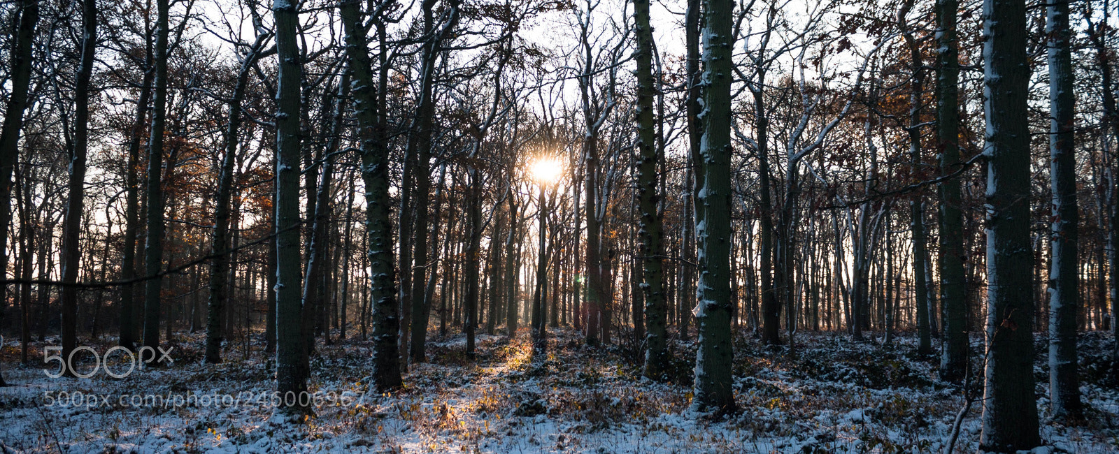 Canon EOS 40D sample photo. Winter dawn..... photography
