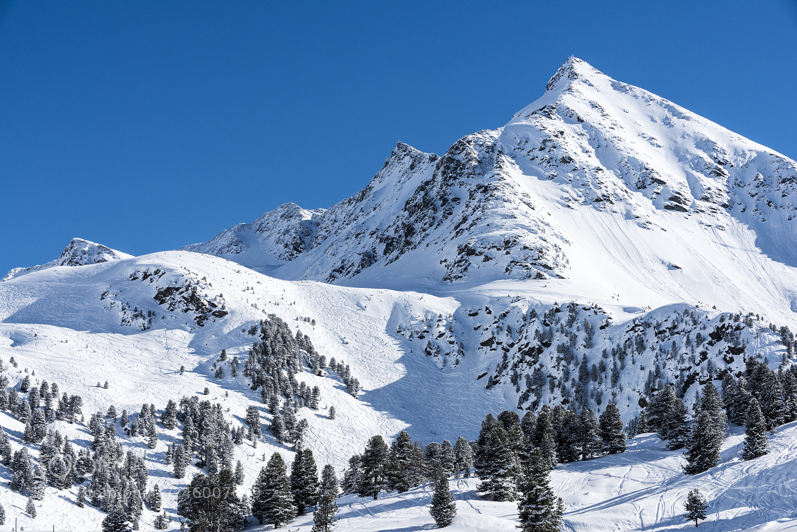 Nikon D810 sample photo. Winter in the austrian photography