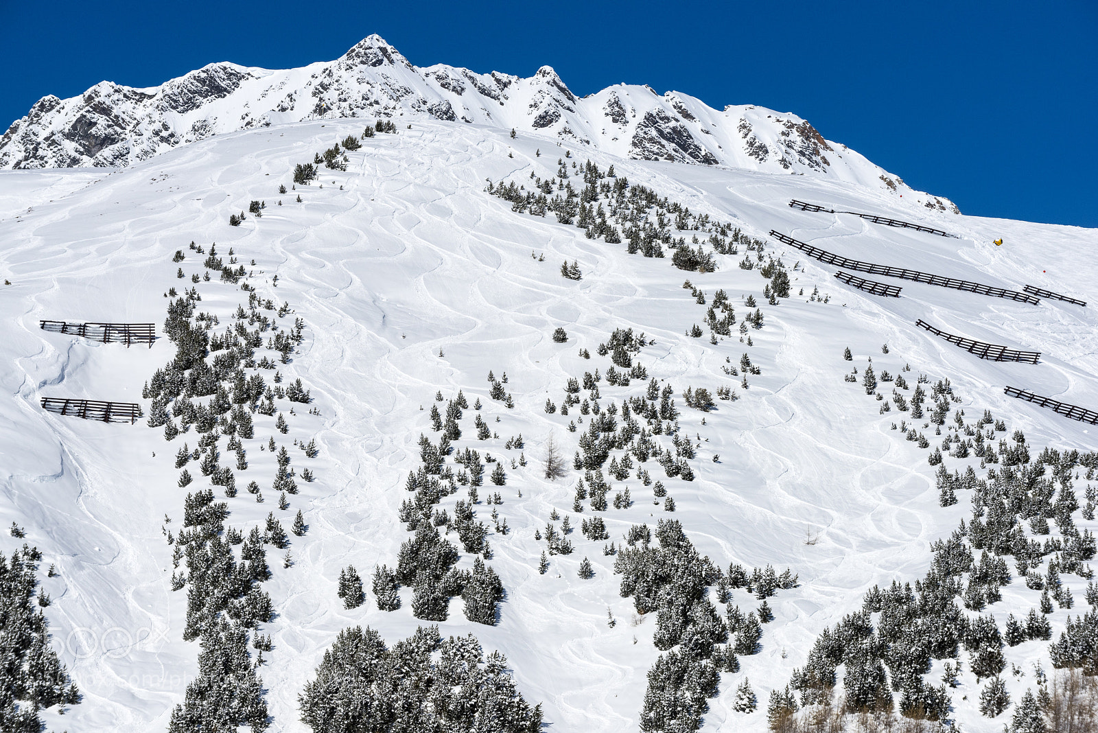 Nikon D810 sample photo. Winter in the austrian photography