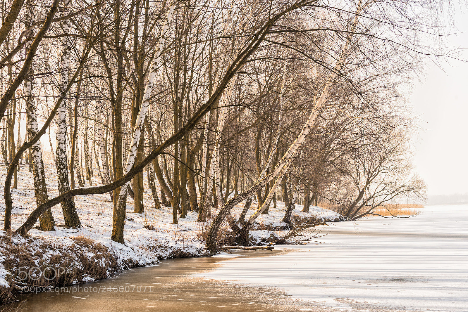 Nikon D610 sample photo. Winter landscape photography