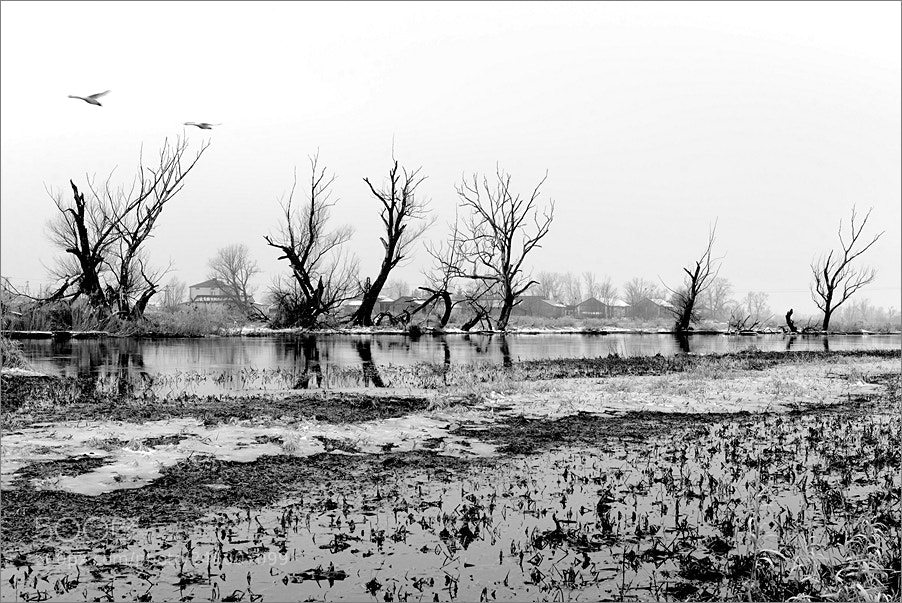 Nikon D610 sample photo. The trail of water photography