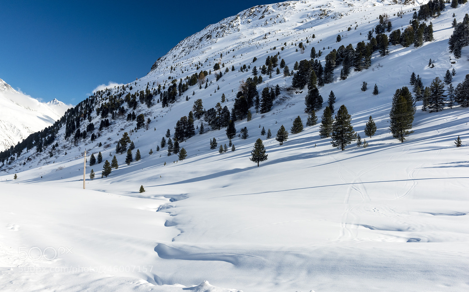 Nikon D810 sample photo. Winter in the austrian photography