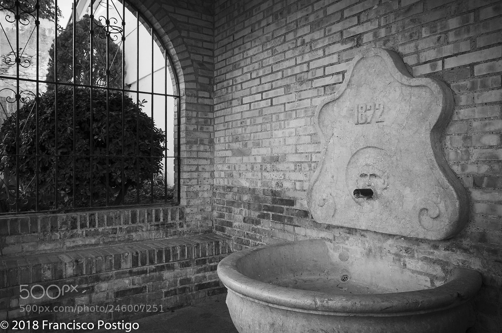 Nikon D5000 sample photo. The water source photography