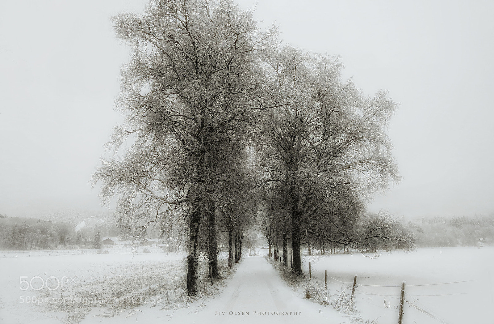 Canon PowerShot G7 X Mark II sample photo. ~ a winterday ~ photography