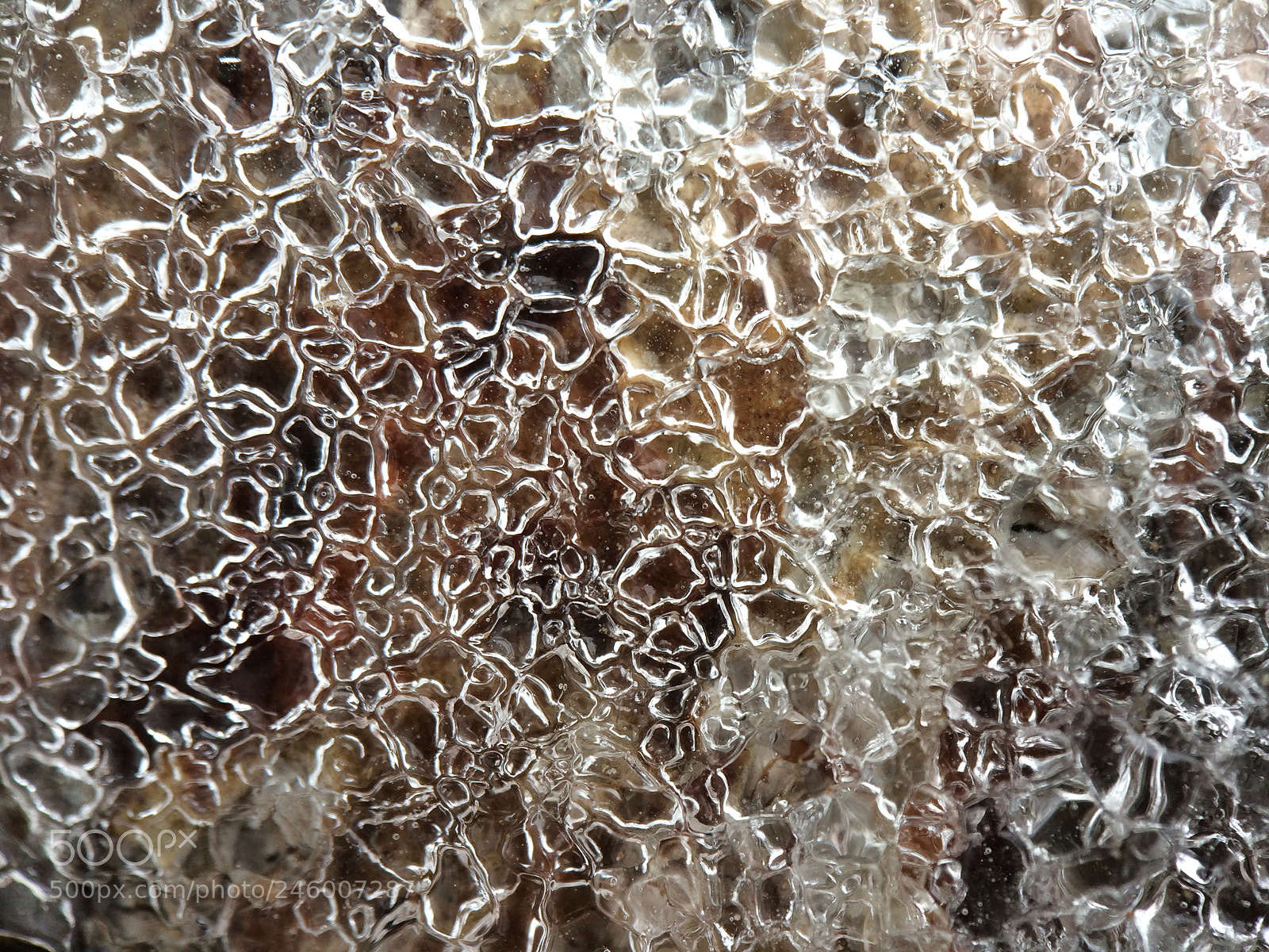 Apple iPhone 5s sample photo. Ice-cover birch tree photography
