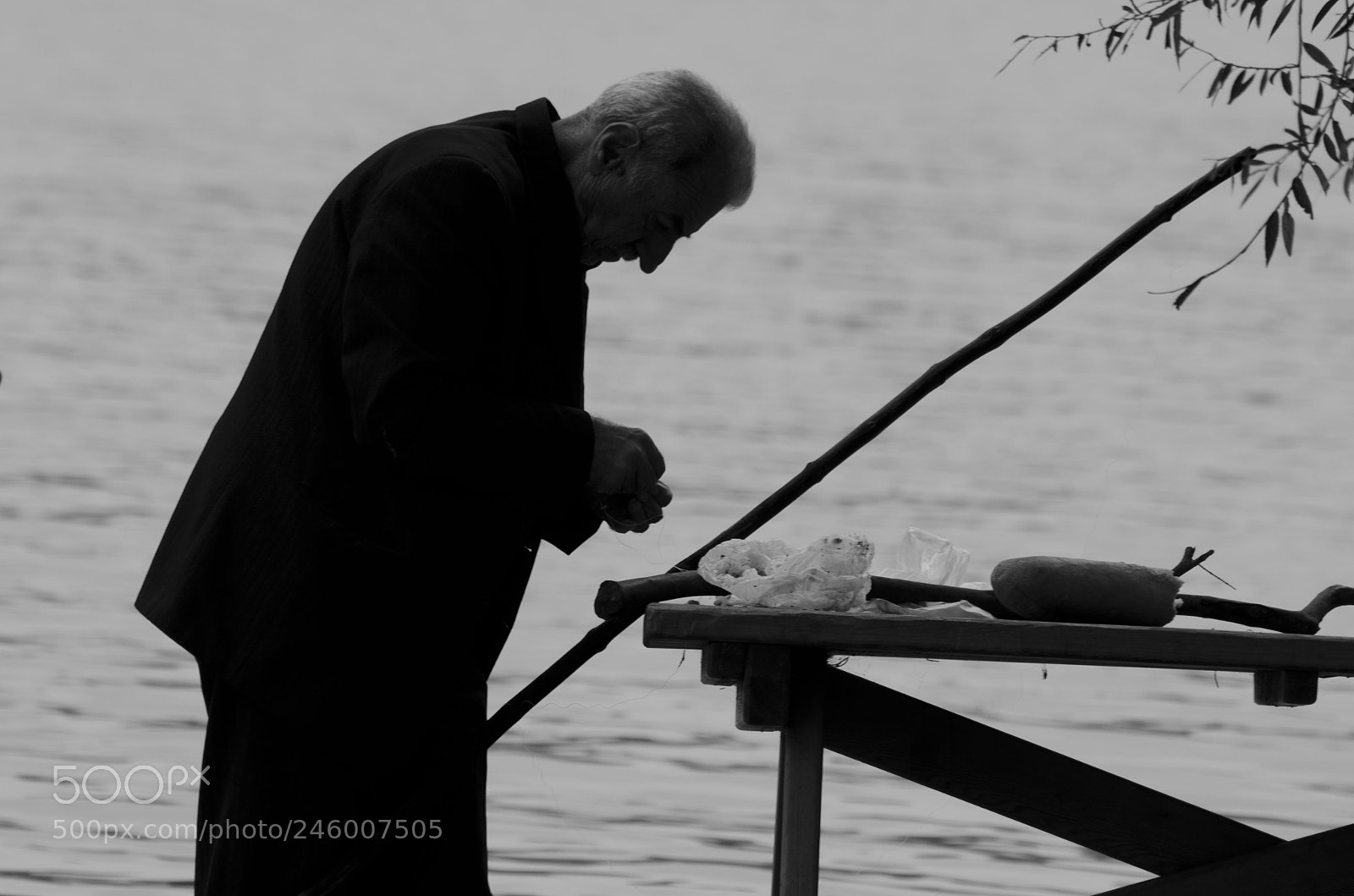 Nikon D5100 sample photo. Untitled photography