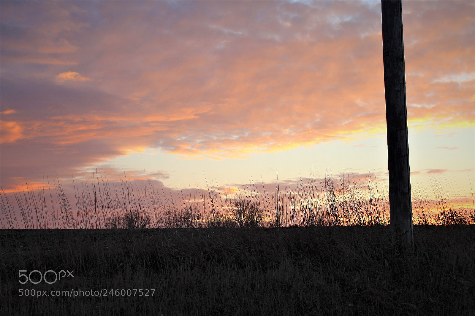 Canon EOS 1300D (EOS Rebel T6 / EOS Kiss X80) sample photo. Sunset photography