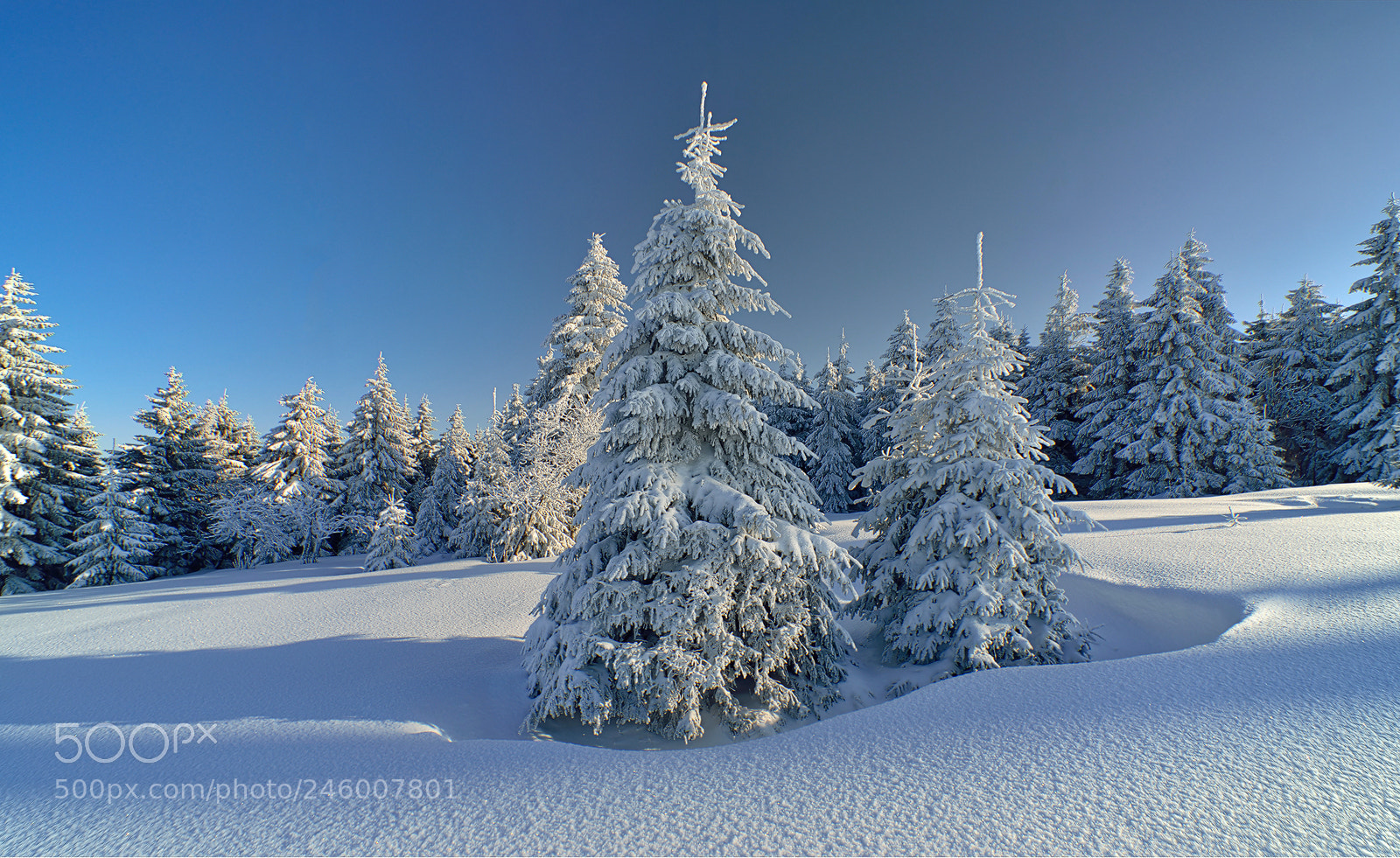 Nikon D800E sample photo. Cold land photography