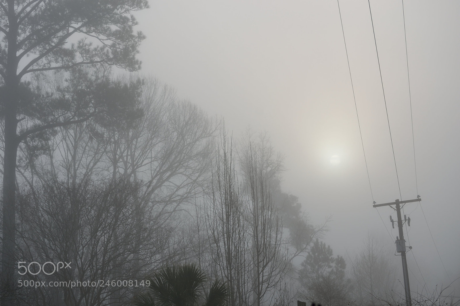 Nikon D3100 sample photo. Untitled photography
