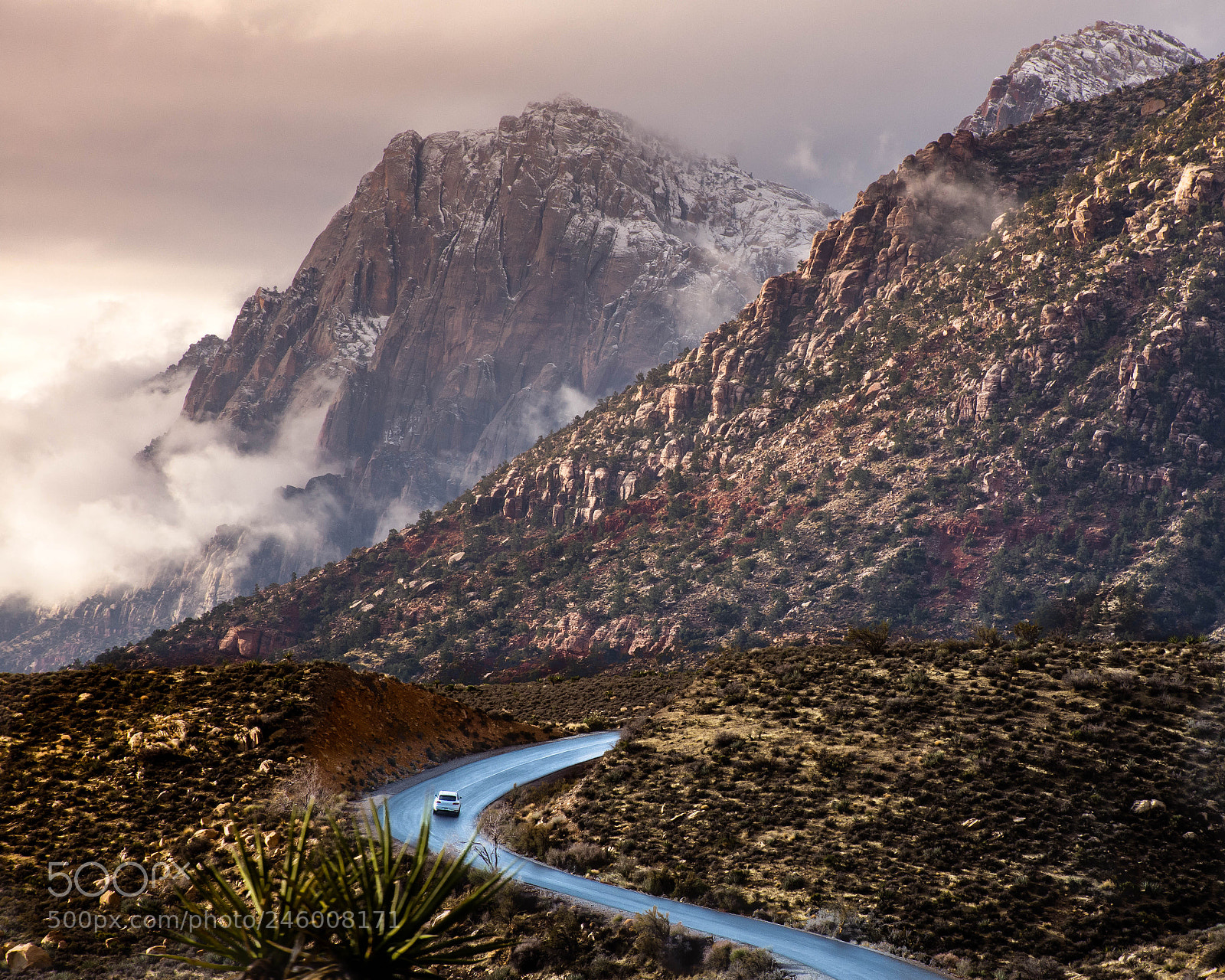 Nikon D7200 sample photo. Cloudy morning in red photography