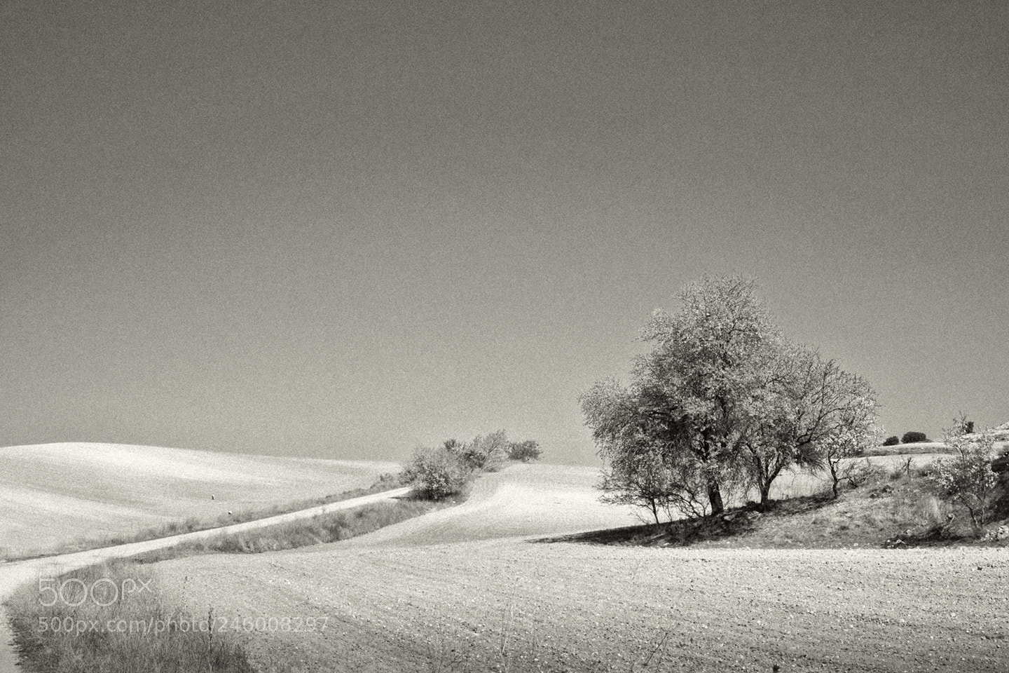 Fujifilm X-T1 sample photo. Campos de castilla photography