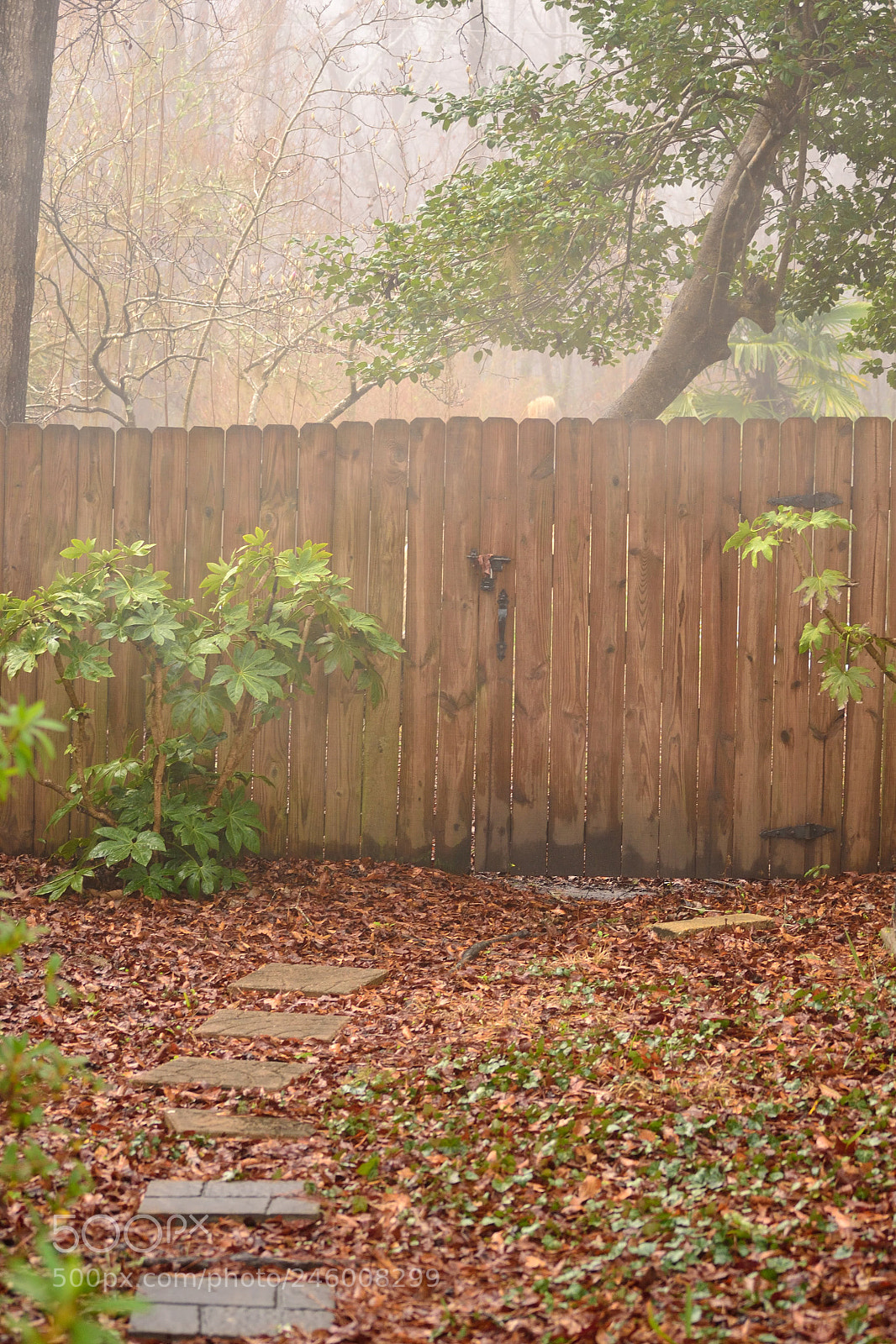 Nikon D3100 sample photo. Untitled photography