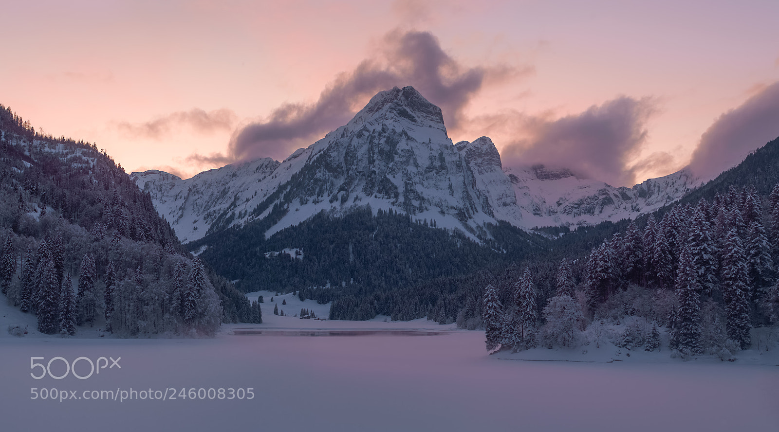 Fujifilm X-Pro1 sample photo. Frozen obersee photography