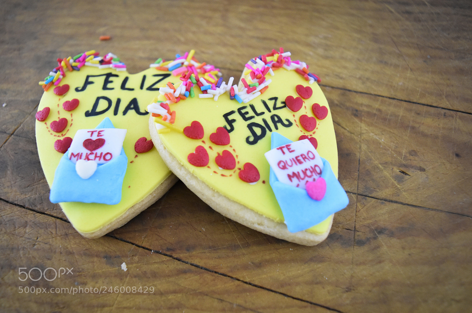 Nikon D5500 sample photo. Galleta decorada photography
