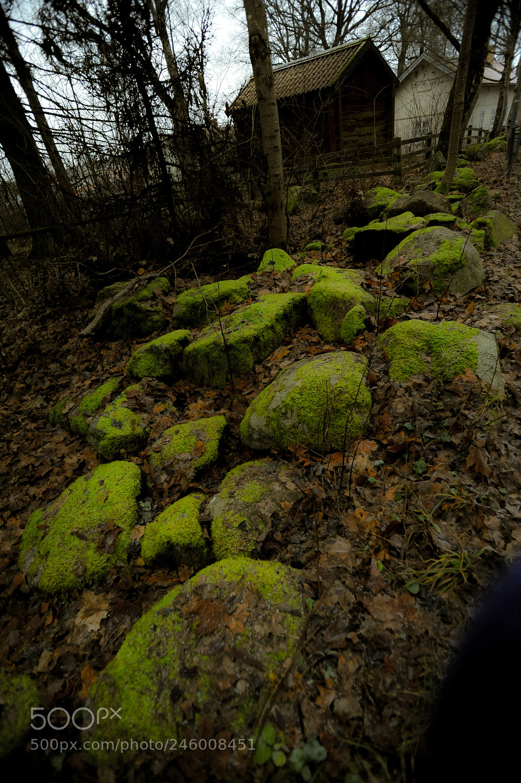 Nikon D700 sample photo. The green stones by photography