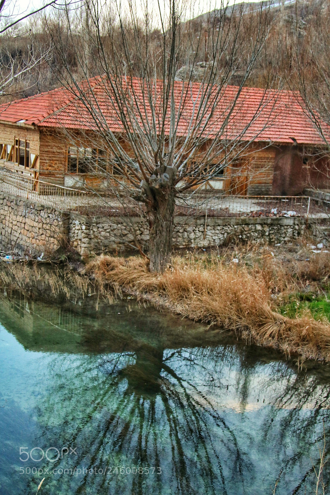 Canon EOS 750D (EOS Rebel T6i / EOS Kiss X8i) sample photo. Reflection photography
