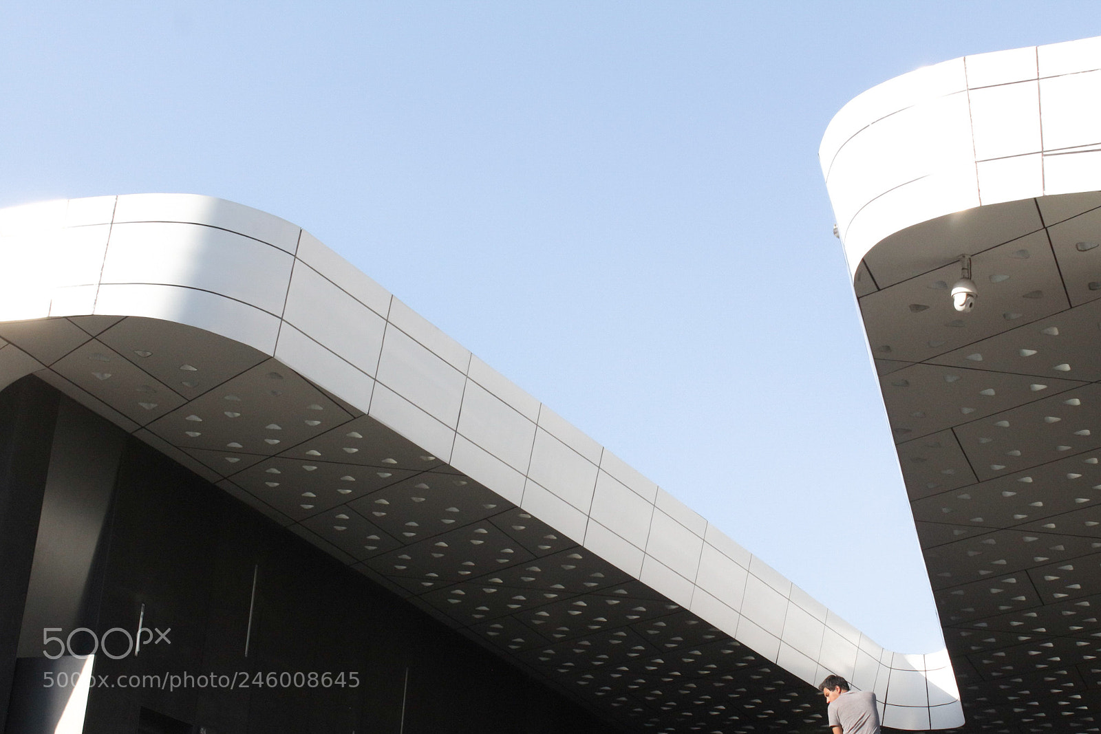 Canon EOS 650D (EOS Rebel T4i / EOS Kiss X6i) sample photo. The watcher photography