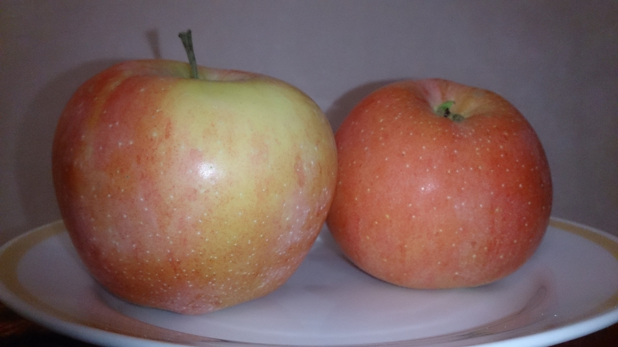 Sony Xperia ZR sample photo. Яблоки photography