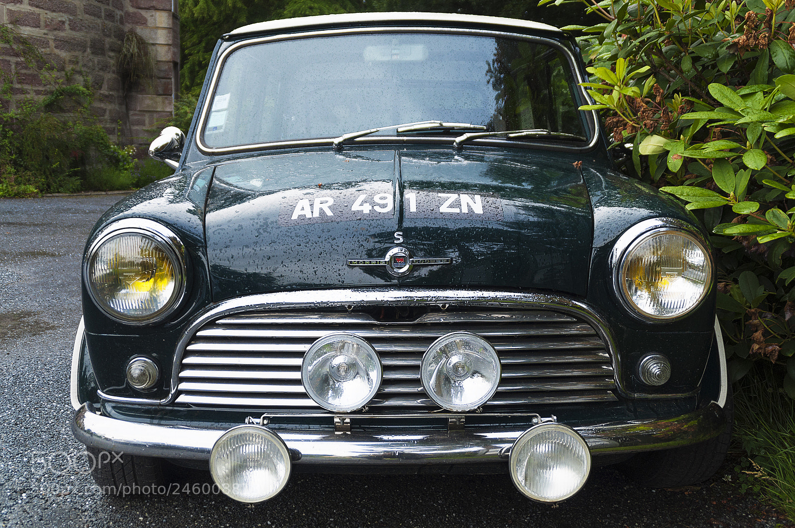 Nikon D5000 sample photo. Classic green photography