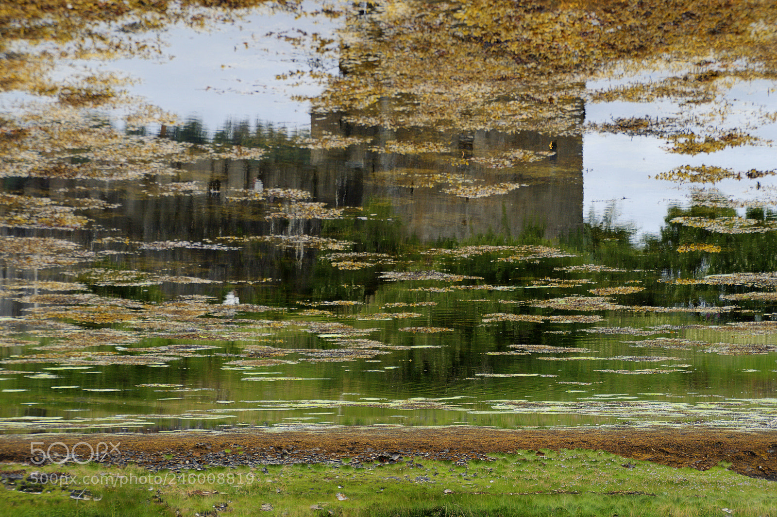 Nikon D5000 sample photo. The other world photography