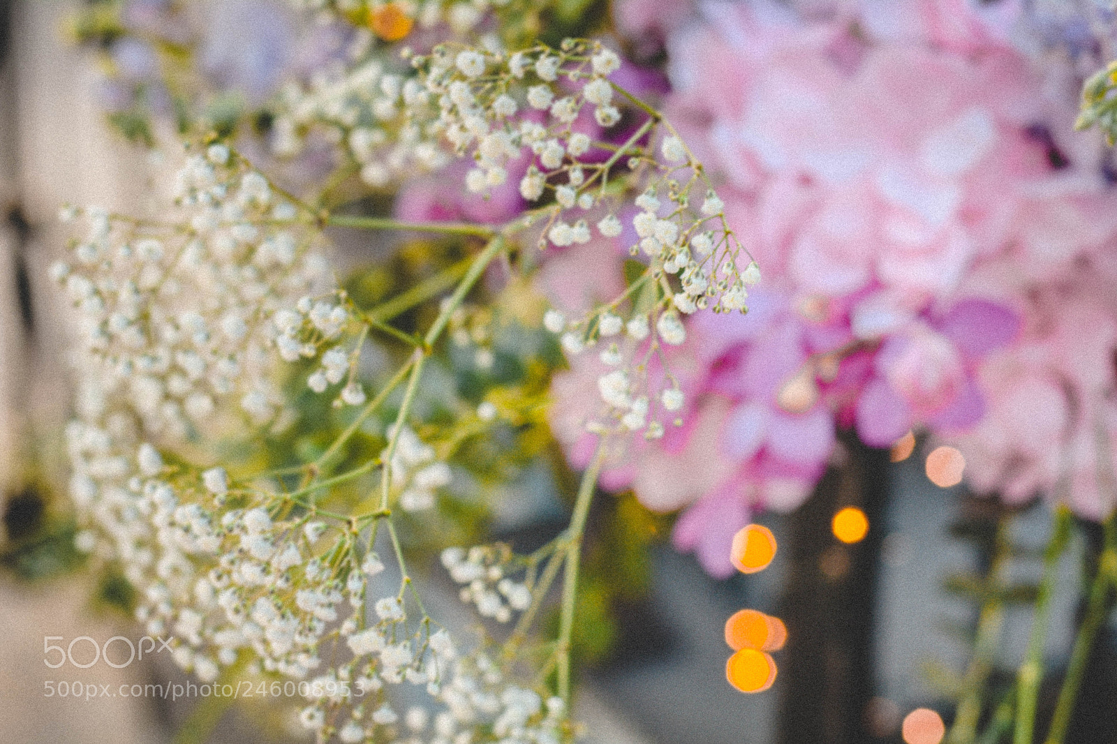 Nikon D7100 sample photo. Happy valentine day photography