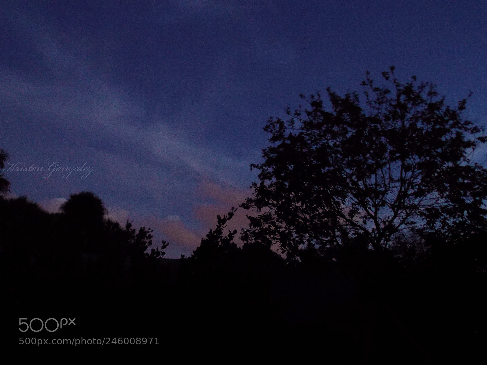 Nikon Coolpix L810 sample photo. Indigo haze photography