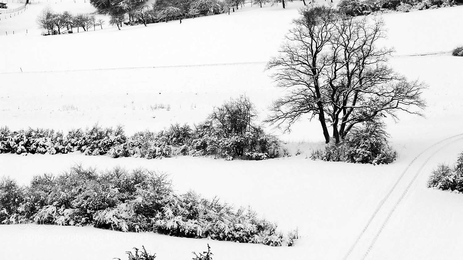 Fujifilm FinePix HS30EXR sample photo. ::: layers of winter ::: photography