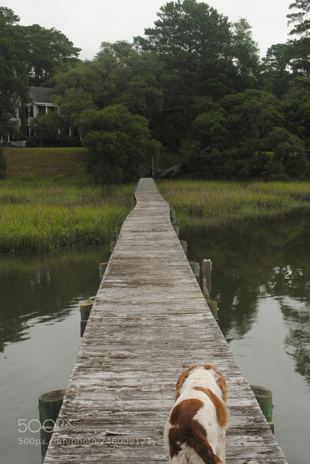 Nikon D3000 sample photo. Leader photography