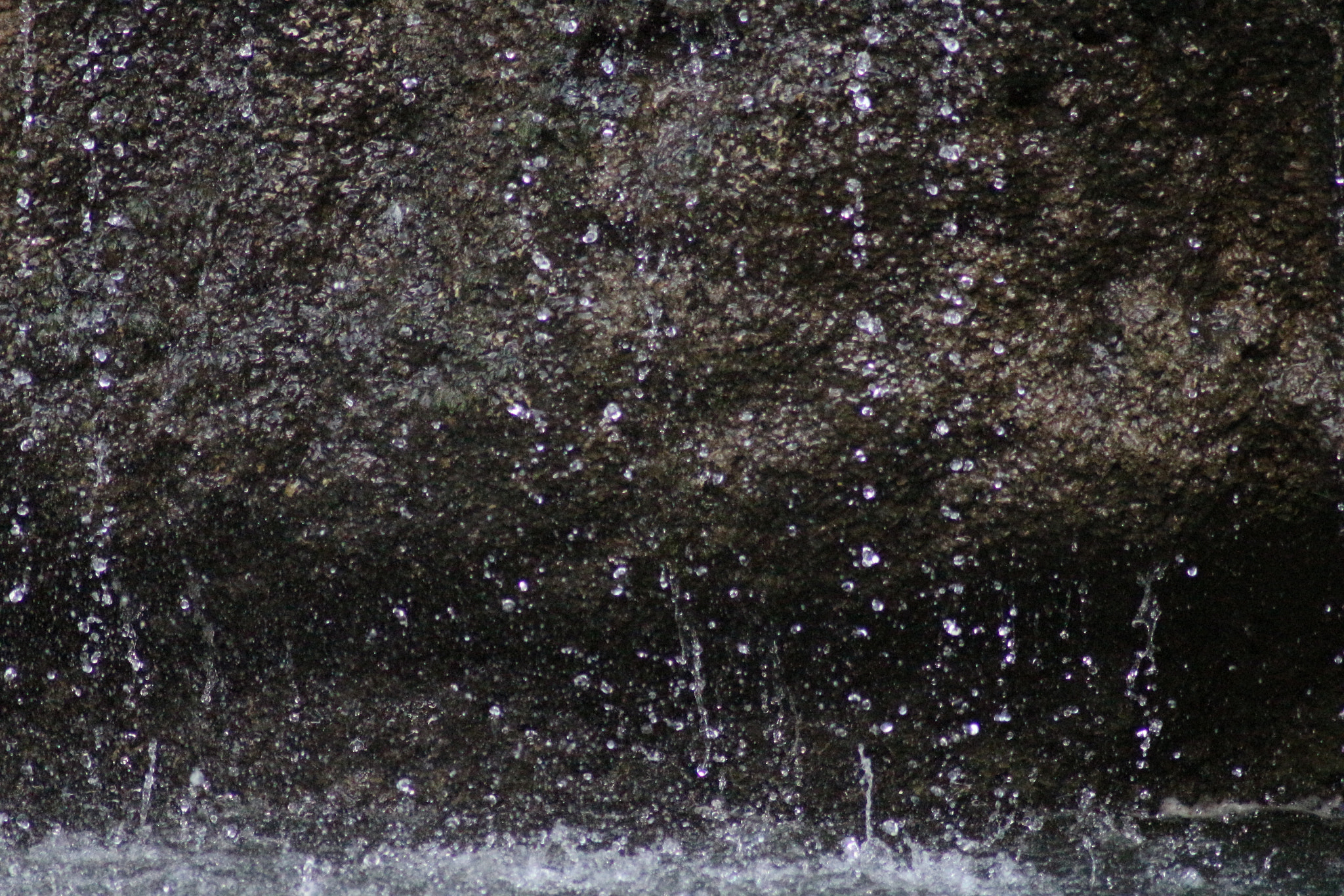 Canon EOS 700D (EOS Rebel T5i / EOS Kiss X7i) sample photo. Stop photography