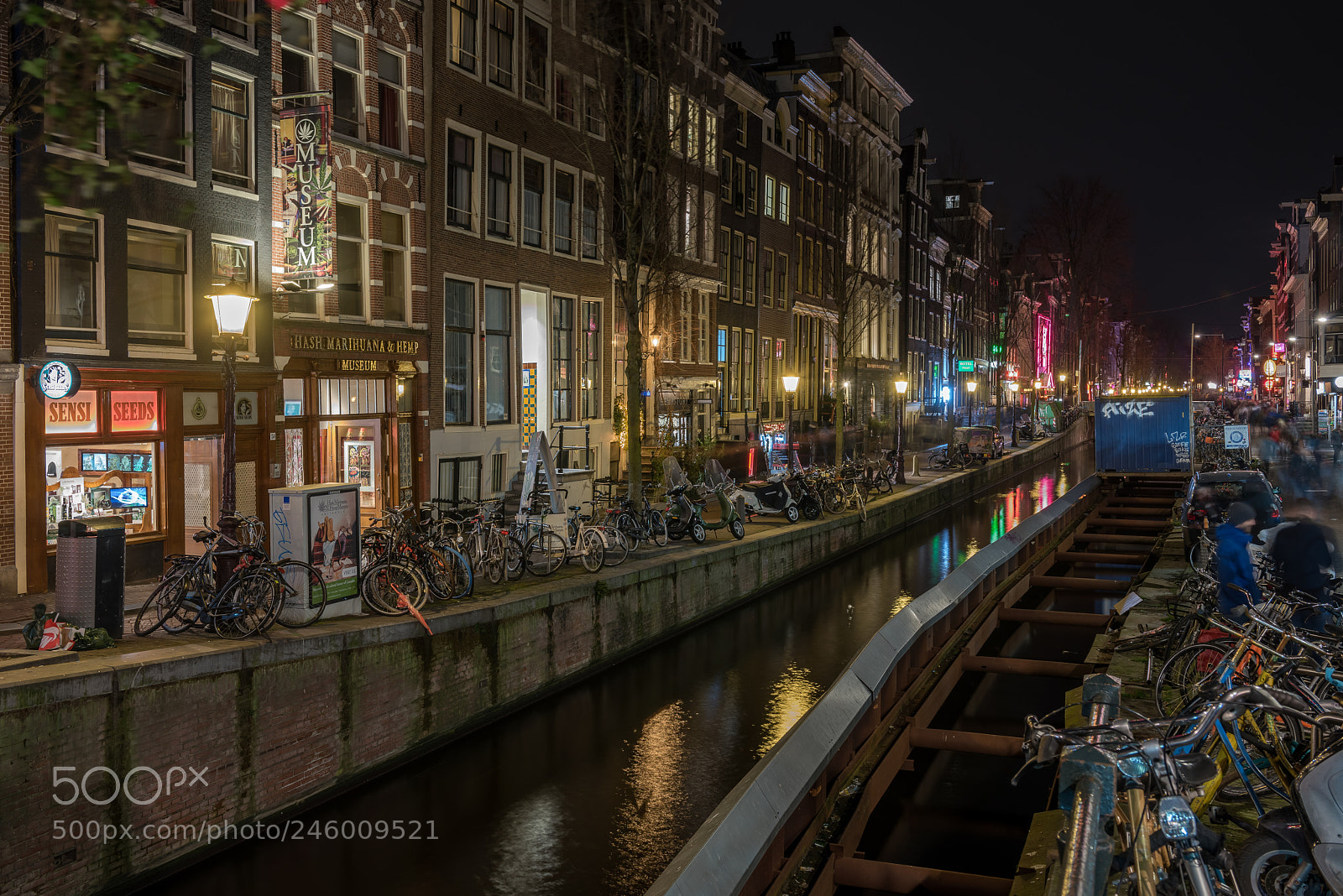 Nikon D810 sample photo. Evening walk along the photography