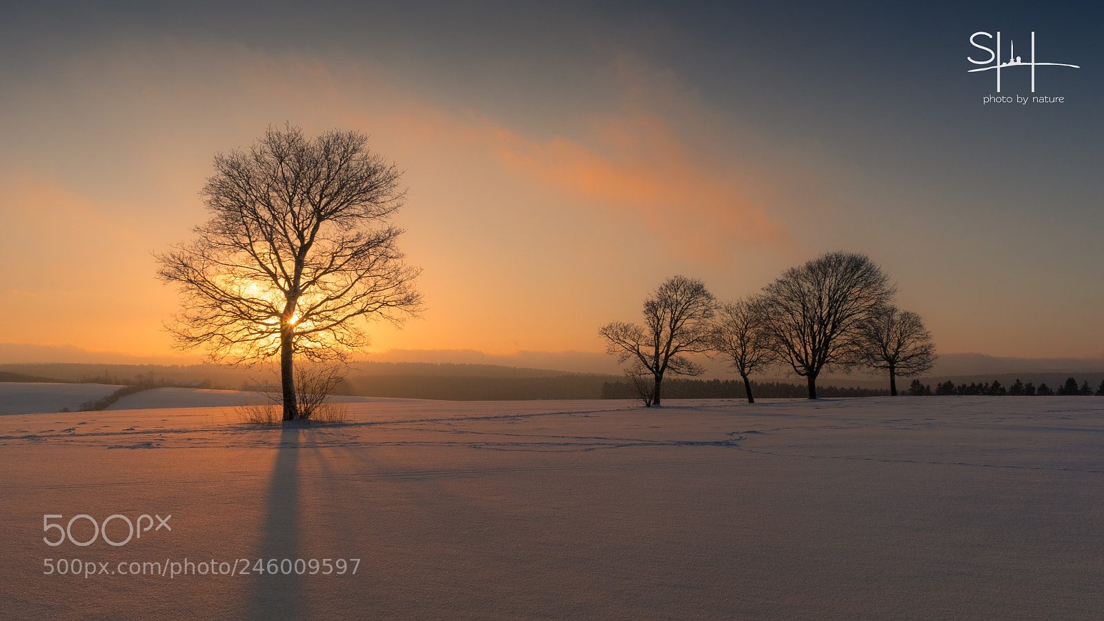 Sony a7 sample photo. Snow and sun photography