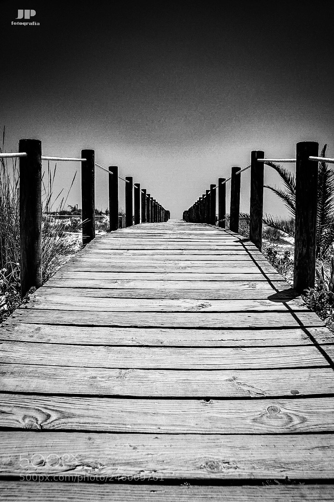 Nikon D5000 sample photo. Pasarela photography