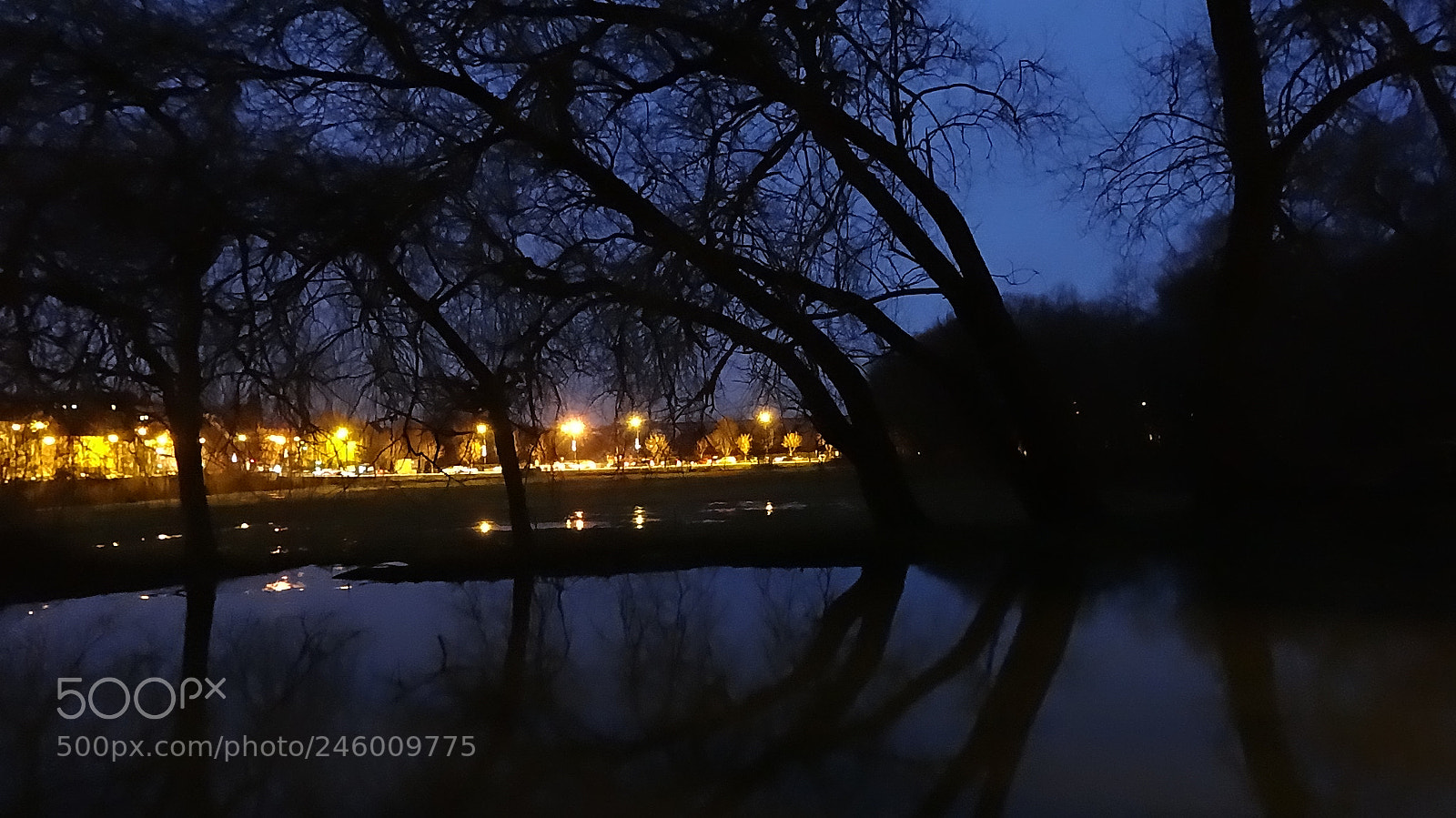 Sony Cyber-shot DSC-HX20V sample photo. Street lights photography