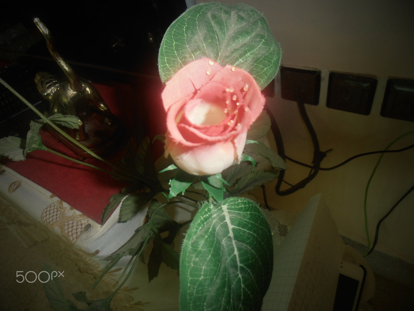Olympus VR310,D720 sample photo. Flower photography