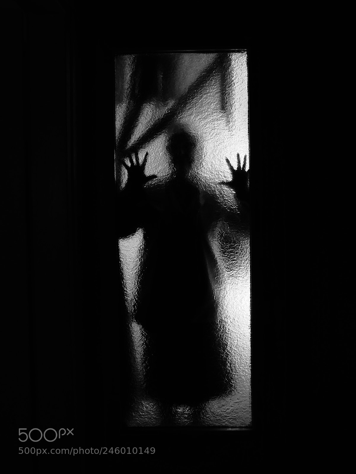 Fujifilm X-T10 sample photo. Untitled photography