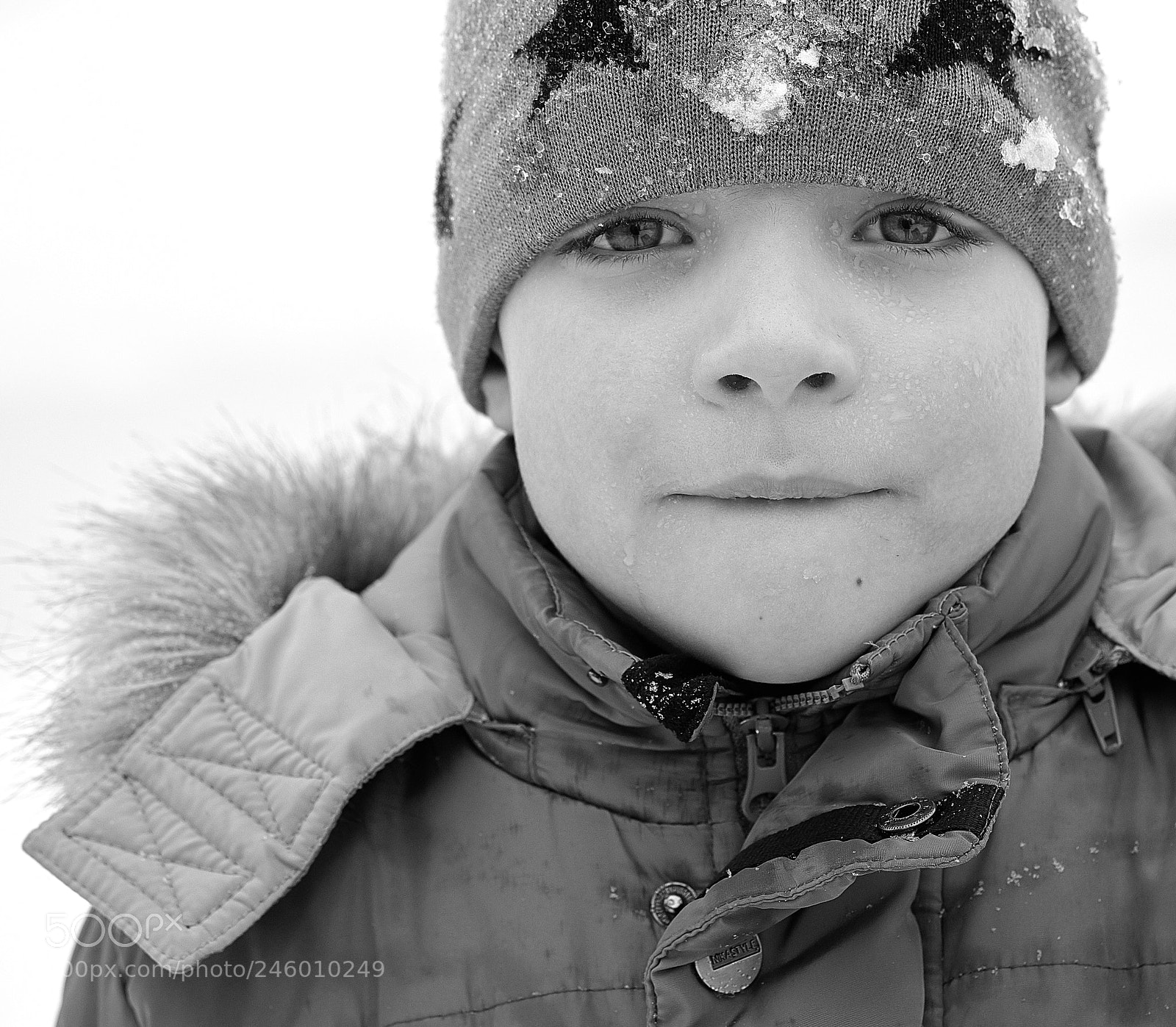 Sony a7 II sample photo. Dsc06799 4.jpg photography