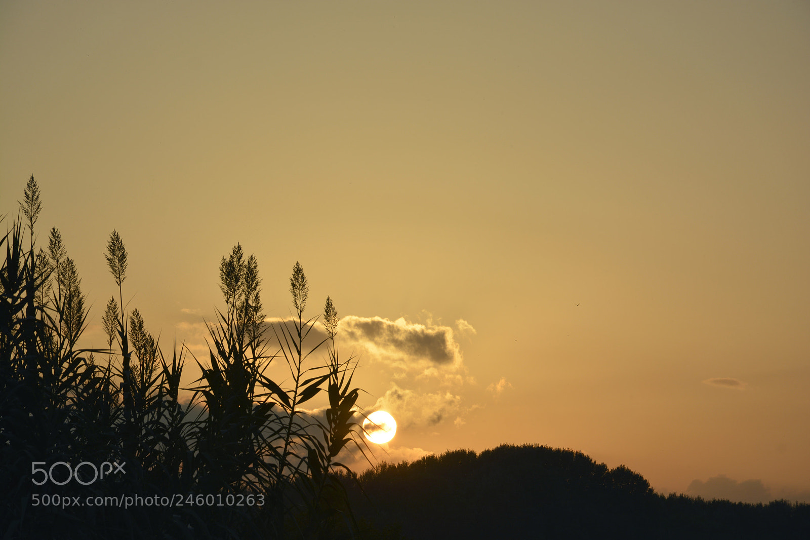 Nikon D5200 sample photo. Tramonto photography