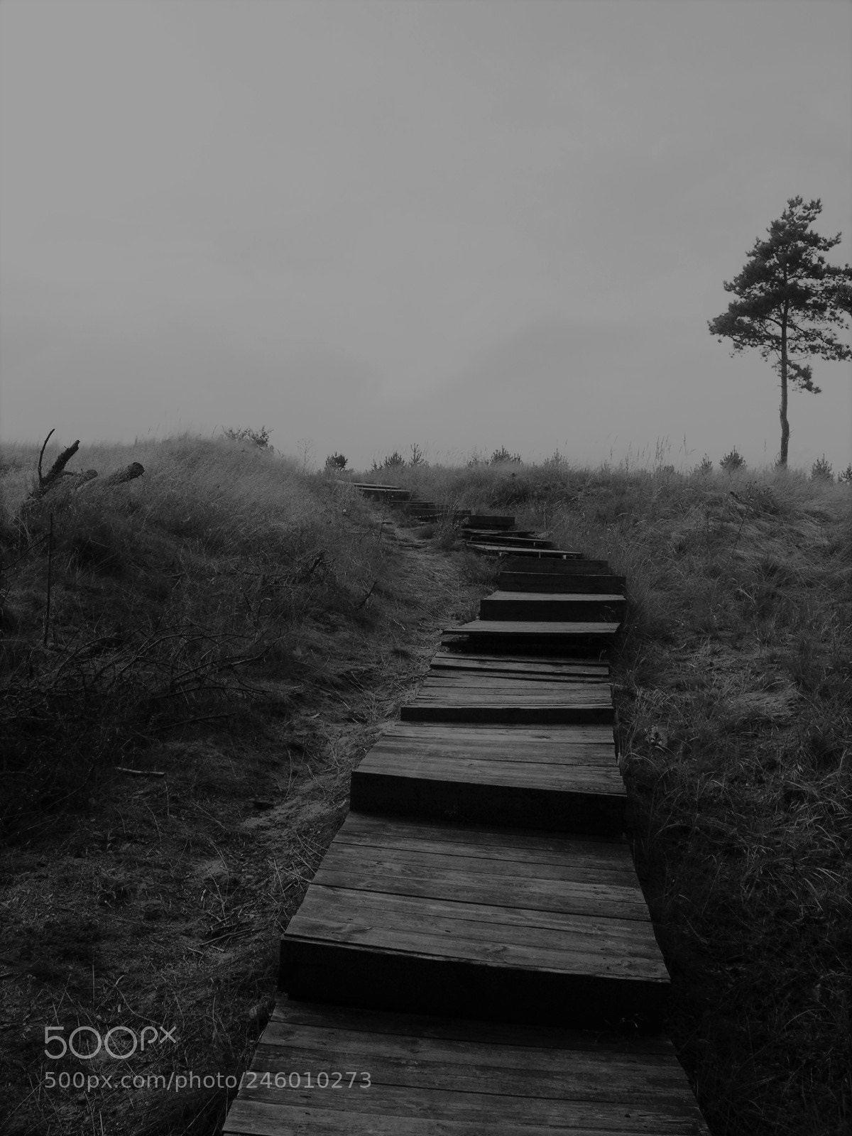 Nikon E5900 sample photo. Lithuania photography