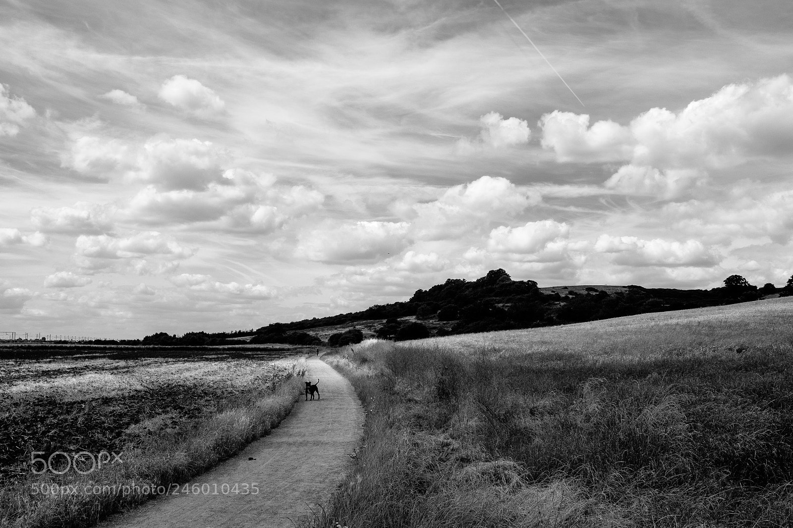 Fujifilm X100T sample photo. Leigh on sea photography