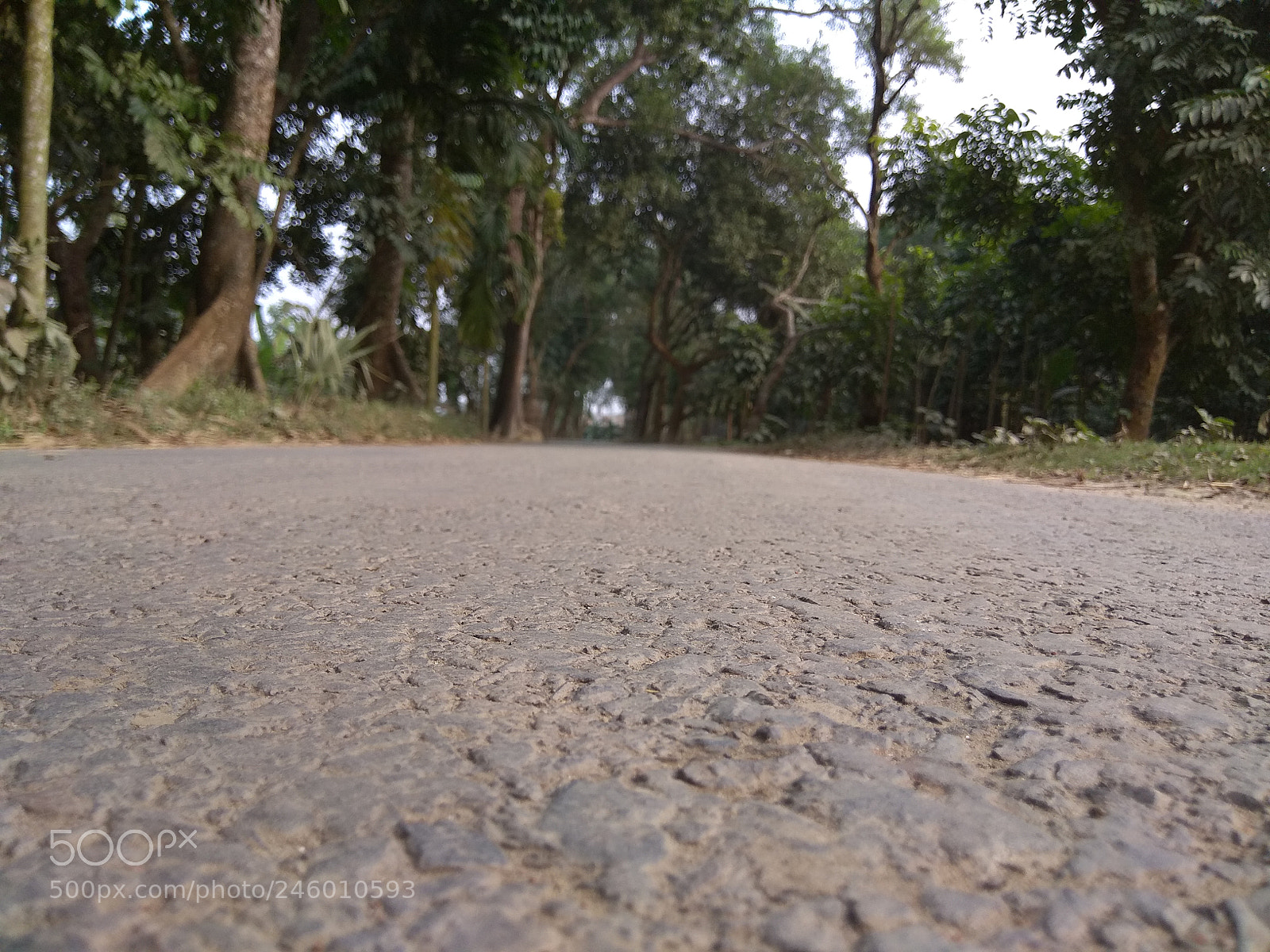 Xiaomi Redmi Note 4 sample photo. County road. photography