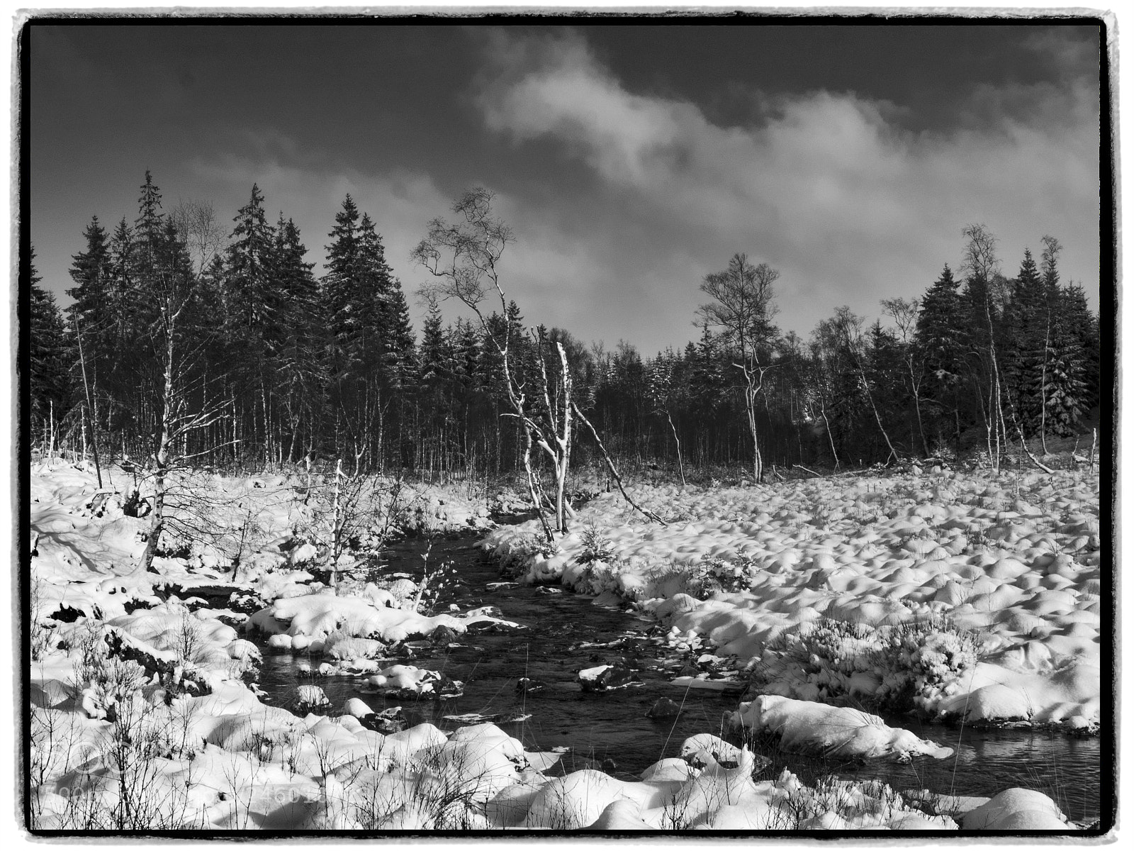 Olympus OM-D E-M1 sample photo. River helle north from photography