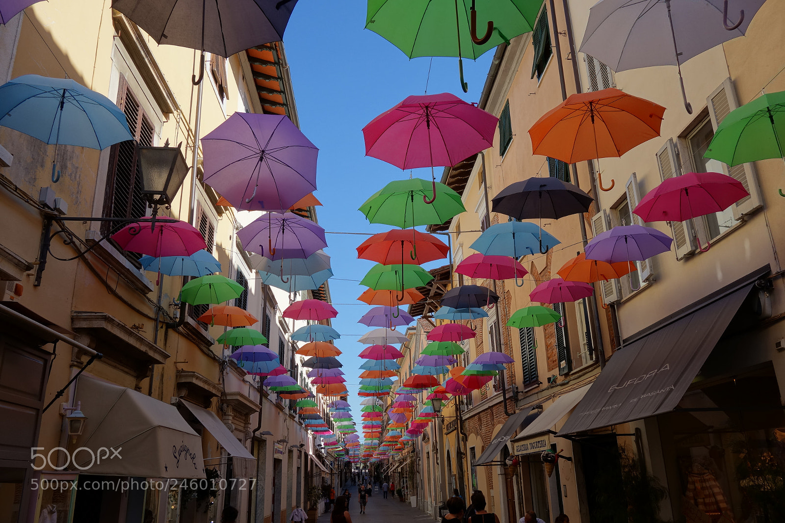 Sony Cyber-shot DSC-RX100 sample photo. Multicolor photography