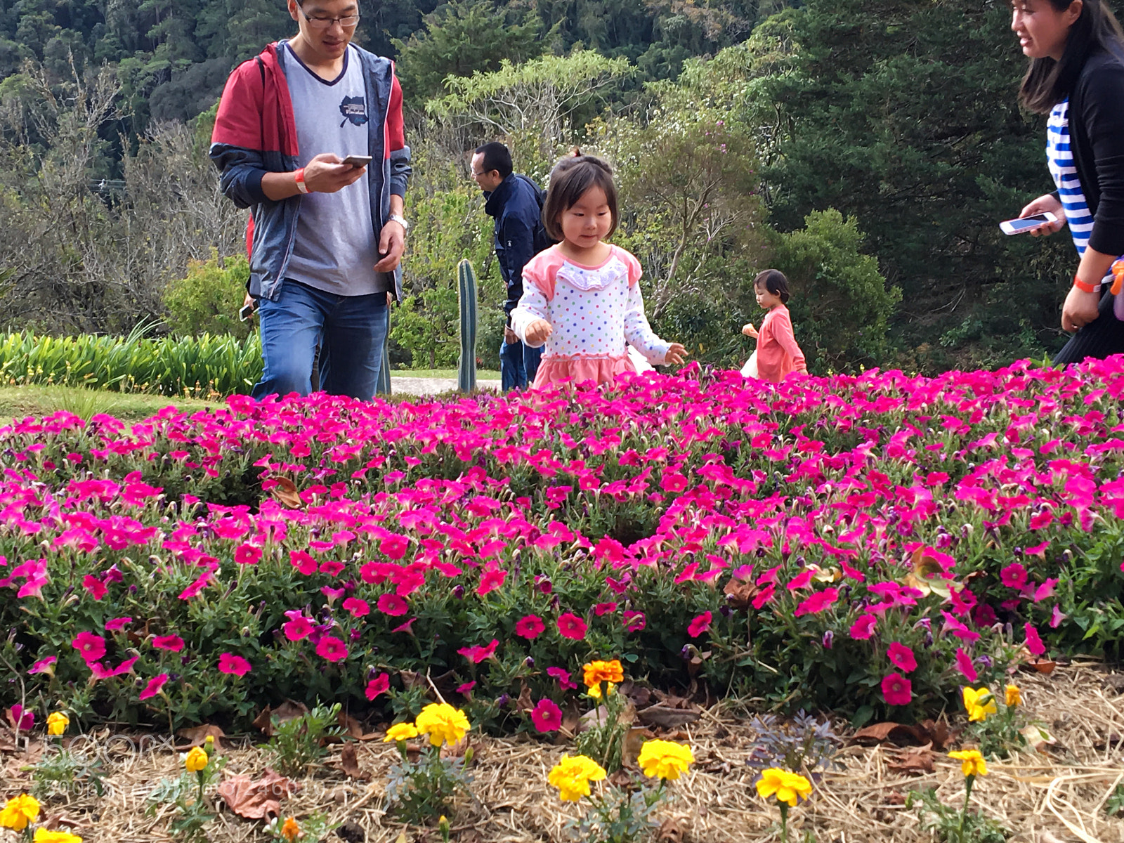 Apple iPhone 6s sample photo. Oriental family photography