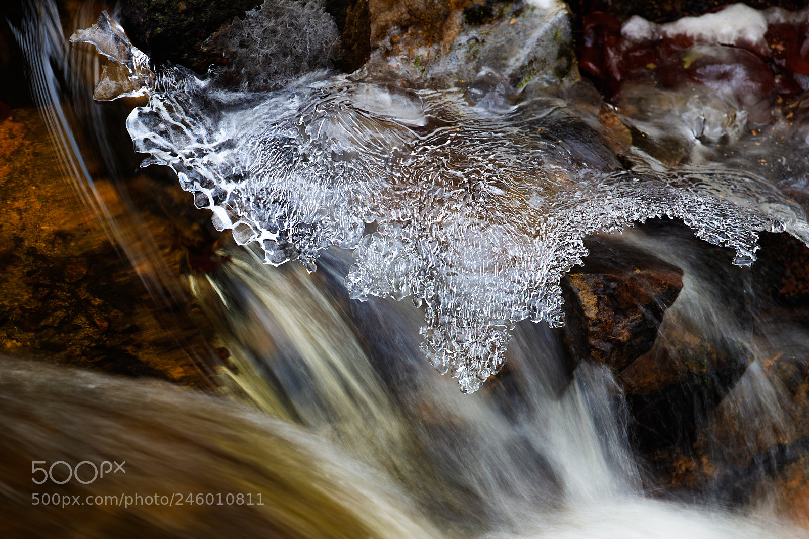 Canon EOS-1D X Mark II sample photo. Waters - frozen and photography
