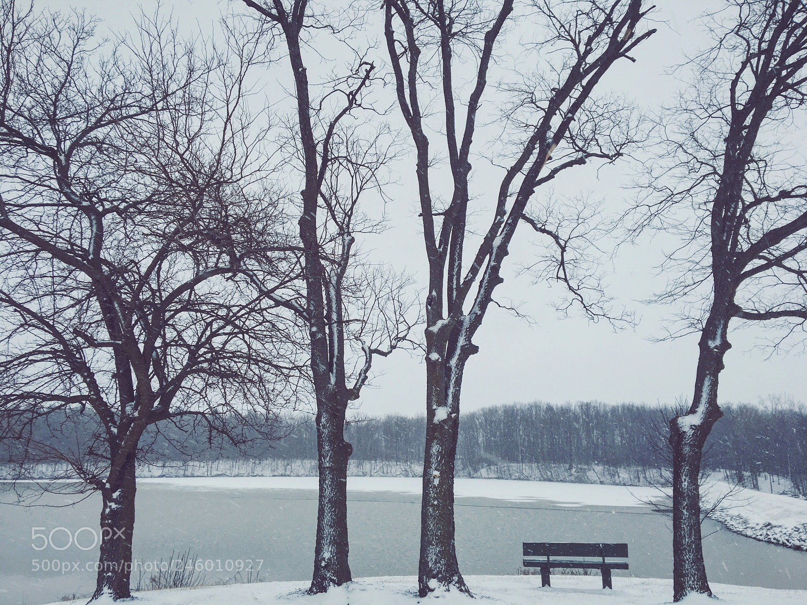Apple iPhone 6s sample photo. Hibernation photography