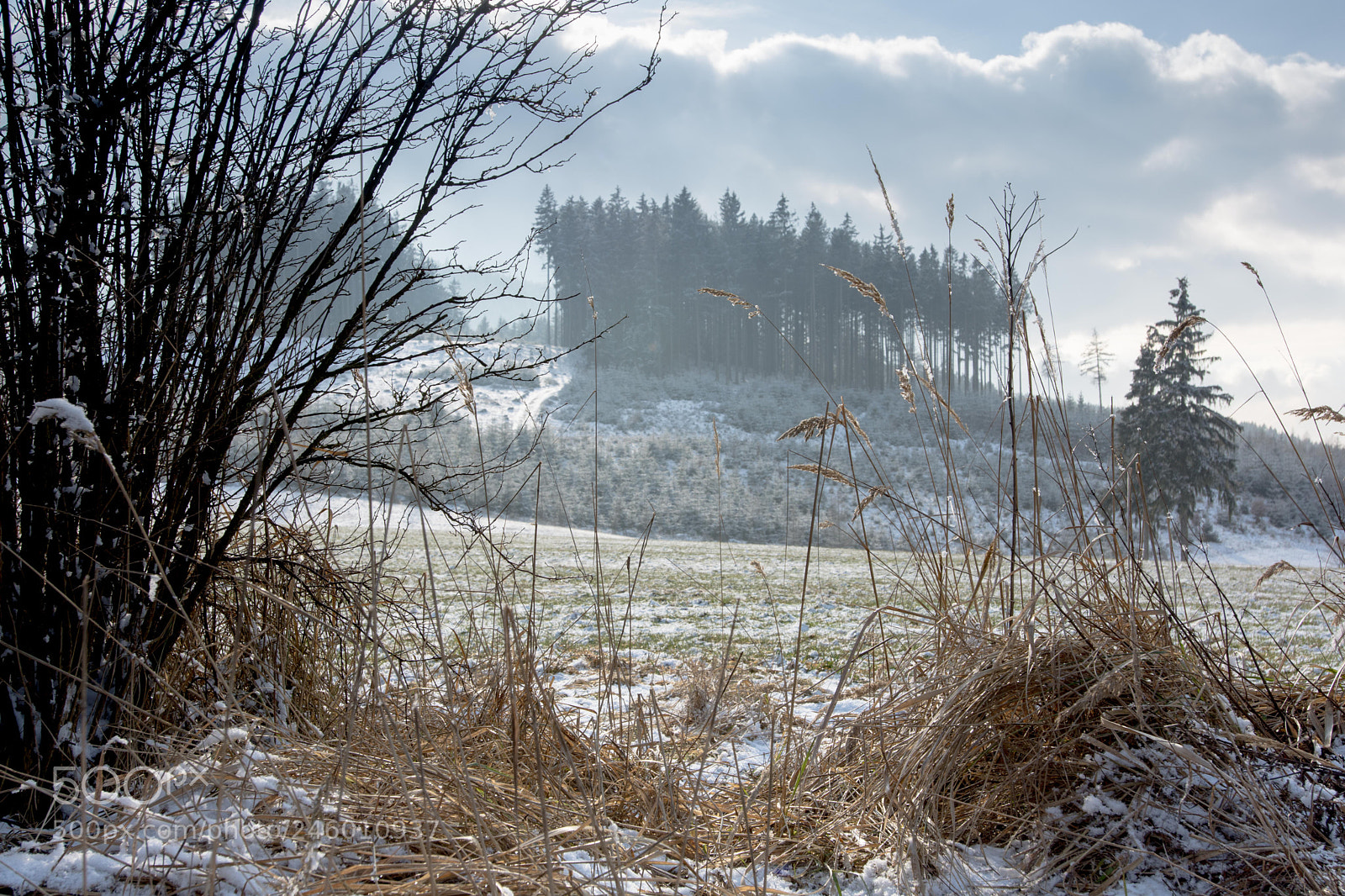 Nikon D7200 sample photo. A little snow photography